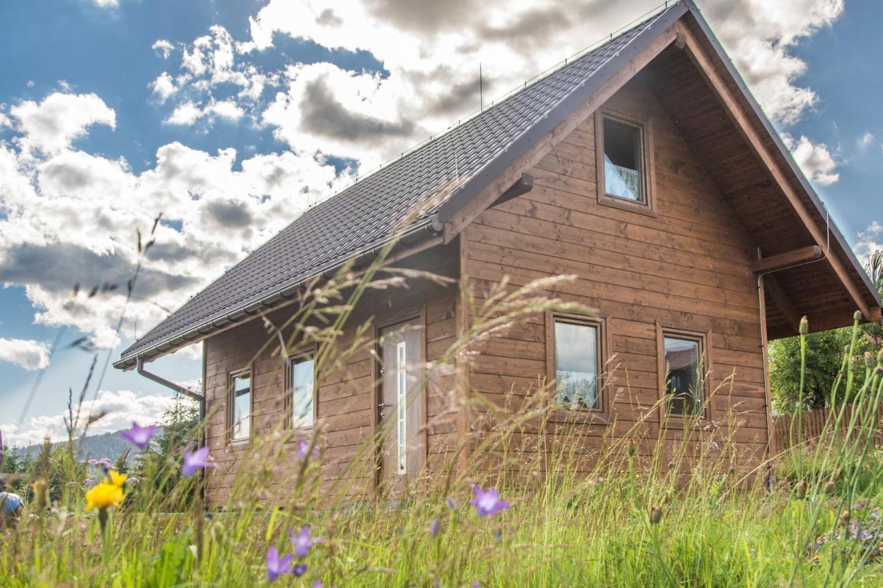U Jana I Wita Villa Istebna Exteriör bild