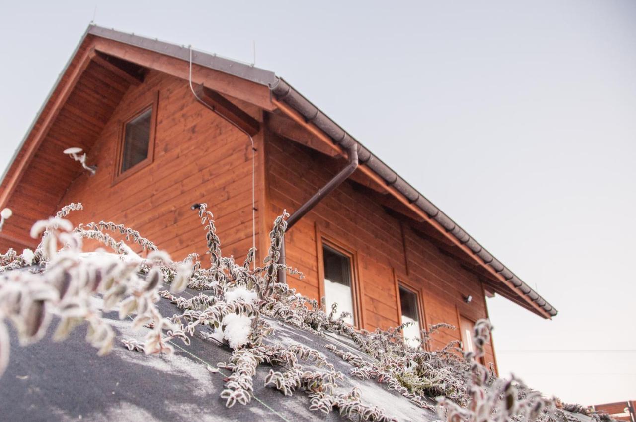 U Jana I Wita Villa Istebna Exteriör bild