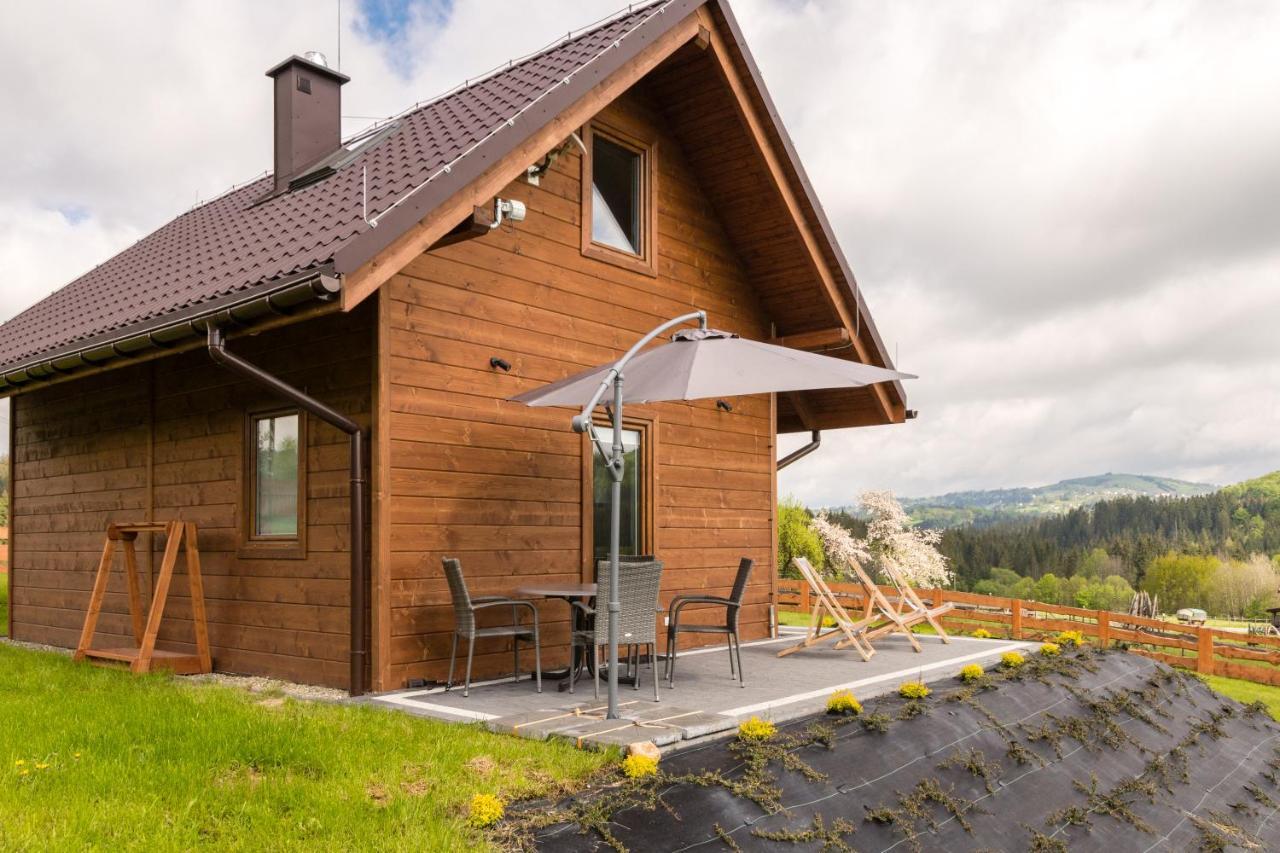U Jana I Wita Villa Istebna Exteriör bild