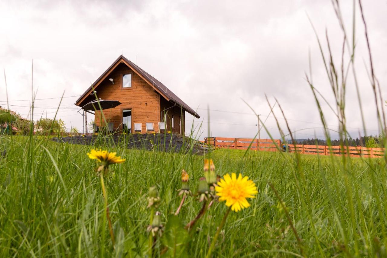 U Jana I Wita Villa Istebna Exteriör bild